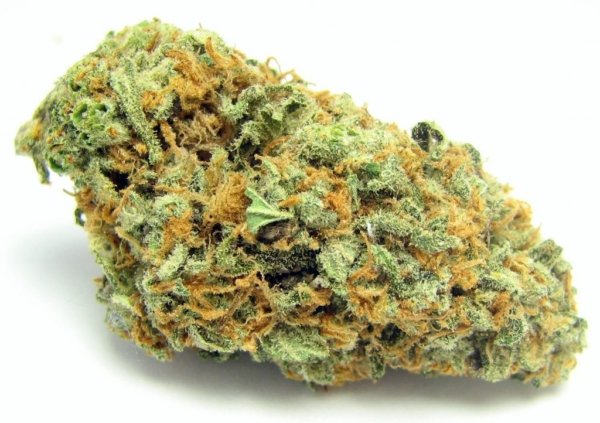 tu Buy Cannabis Green Crack With THC 21% Online | Order Cannabis Green Crack With THC 21% Online
